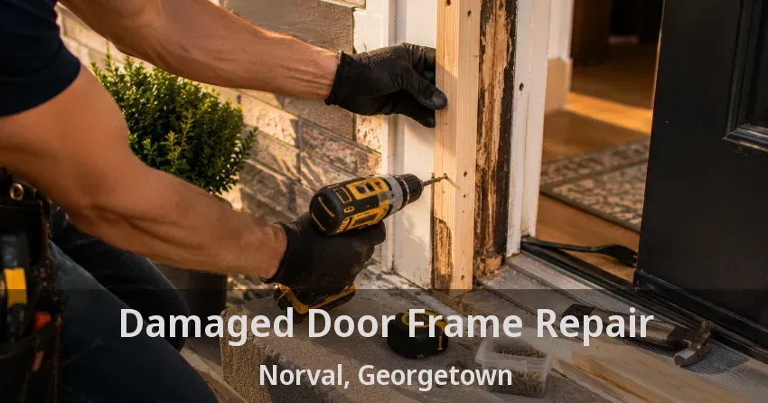 Damaged Door Frame Repair Norval, Georgetown - ON