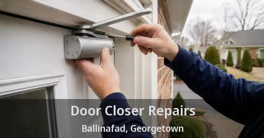 Door Closer Repairs Ballinafad, Georgetown - ON