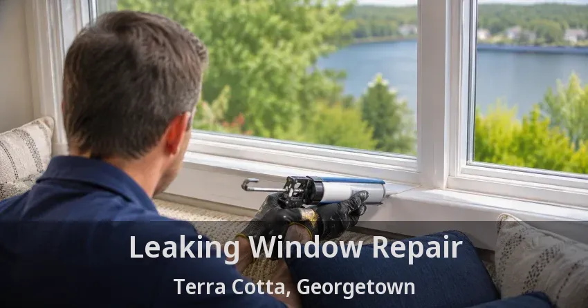 Leaking Window Repair Terra Cotta, Georgetown - ON