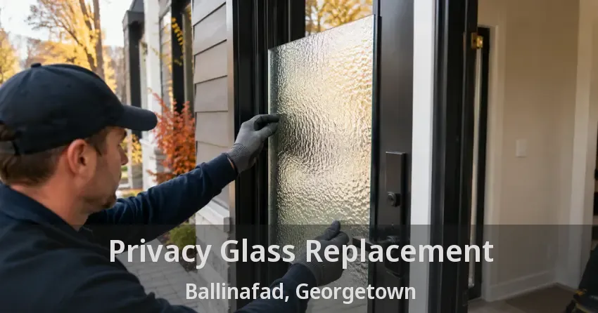 Privacy Glass Replacement Ballinafad, Georgetown - ON
