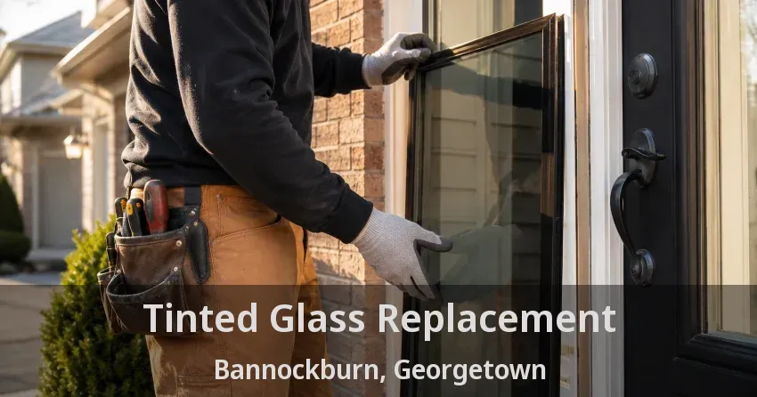Tinted Glass Replacement Bannockburn, Georgetown - ON